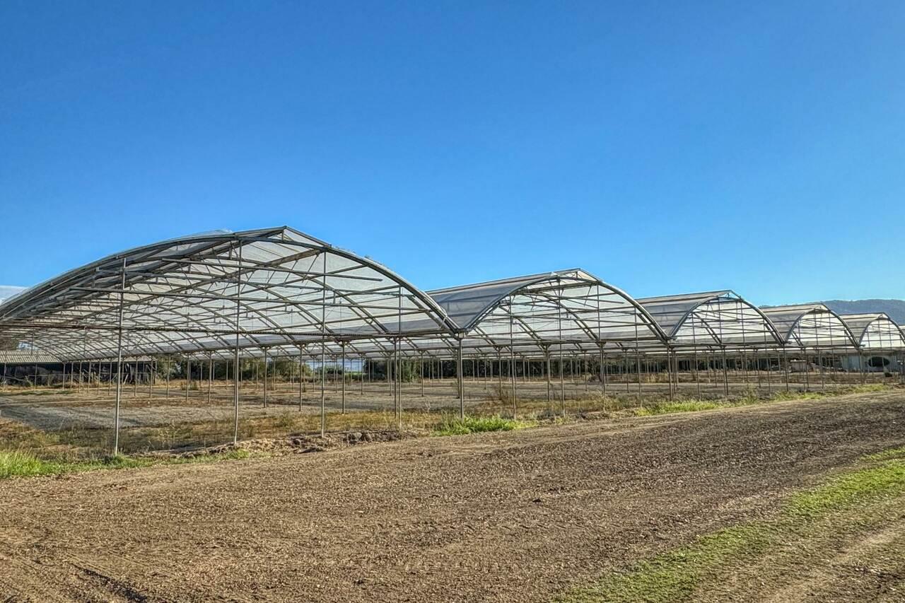 Detail Gallery Image 15 of 18 For 26000 Encinal, Salinas,  CA 93908 - – Beds | – Baths