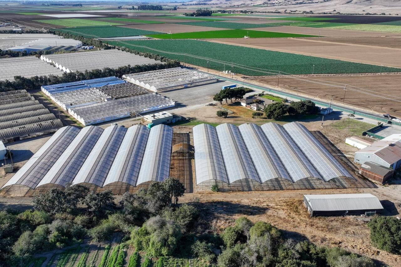 Detail Gallery Image 17 of 18 For 26000 Encinal, Salinas,  CA 93908 - – Beds | – Baths