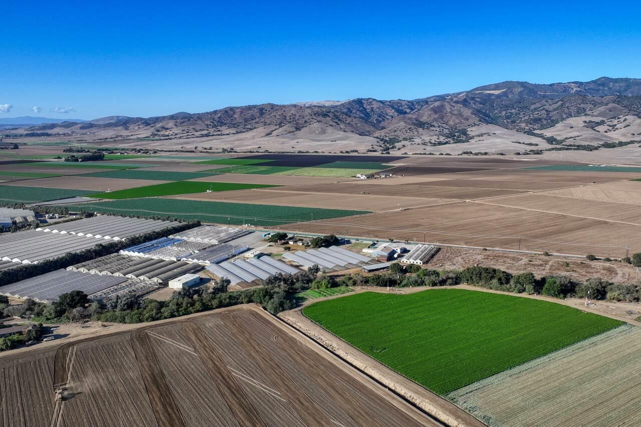 Detail Gallery Image 4 of 18 For 26000 Encinal, Salinas,  CA 93908 - – Beds | – Baths