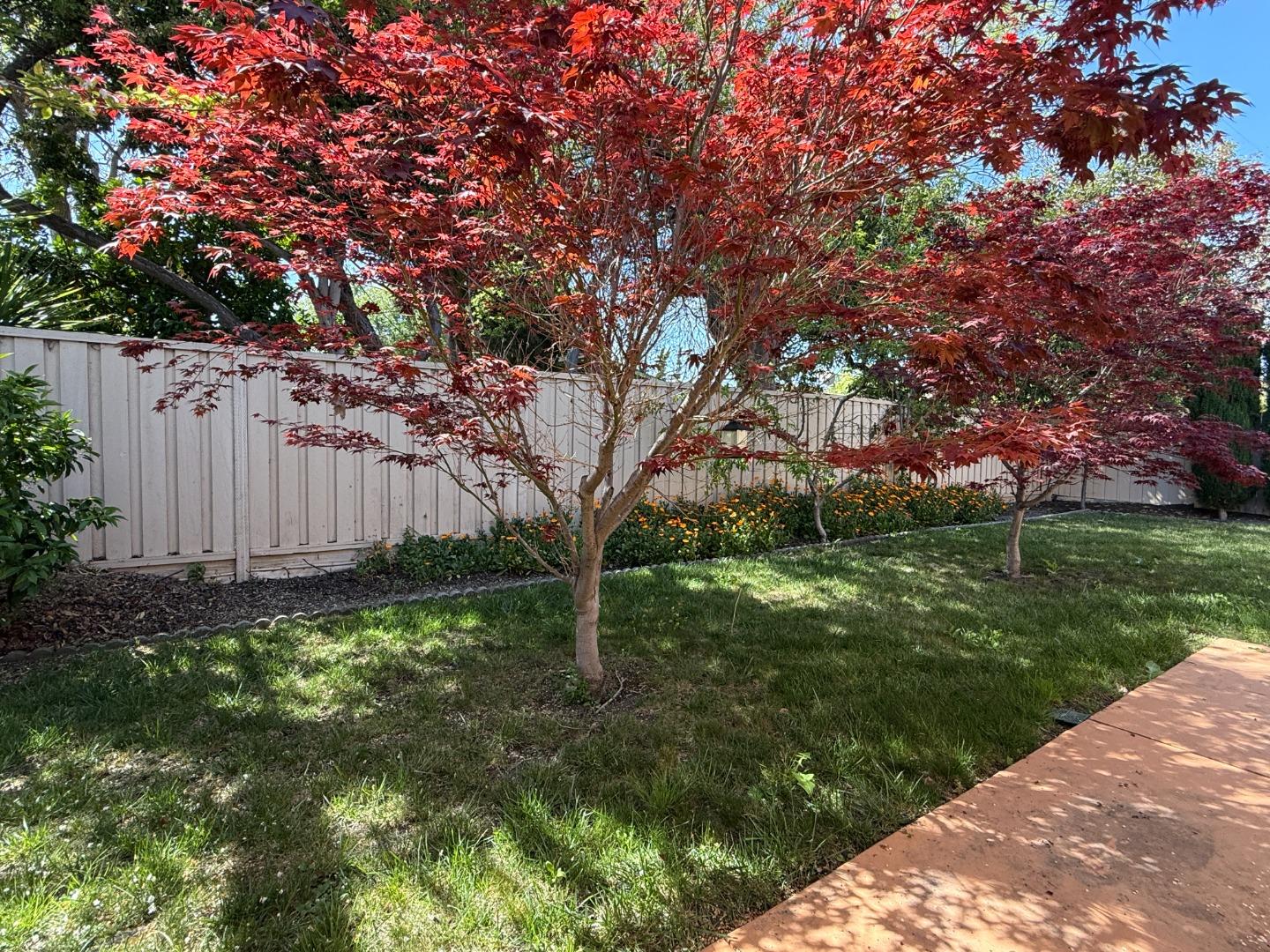 Detail Gallery Image 29 of 30 For 705 Santa Rita St, Sunnyvale,  CA 94085 - 3 Beds | 2 Baths