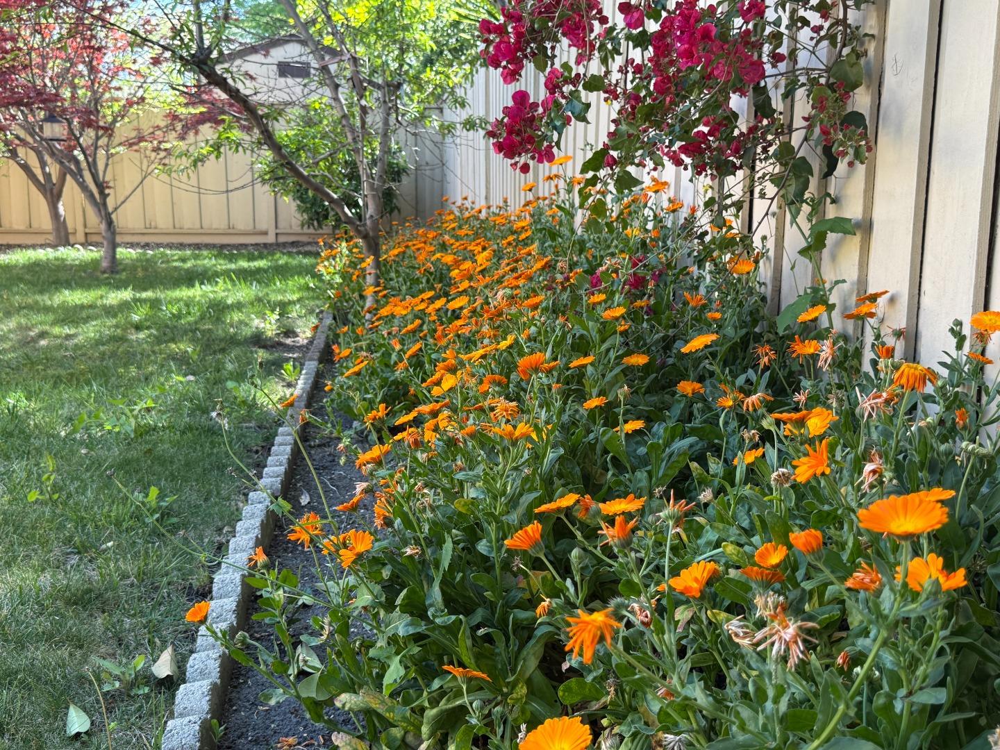 Detail Gallery Image 30 of 30 For 705 Santa Rita St, Sunnyvale,  CA 94085 - 3 Beds | 2 Baths