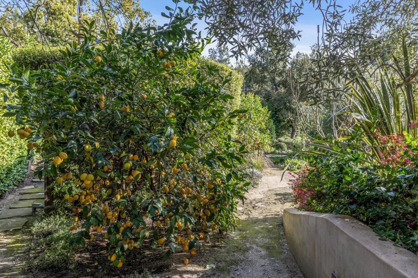 Detail Gallery Image 48 of 64 For 2 Somerset Ln, Atherton,  CA 94027 - 6 Beds | 7/2 Baths