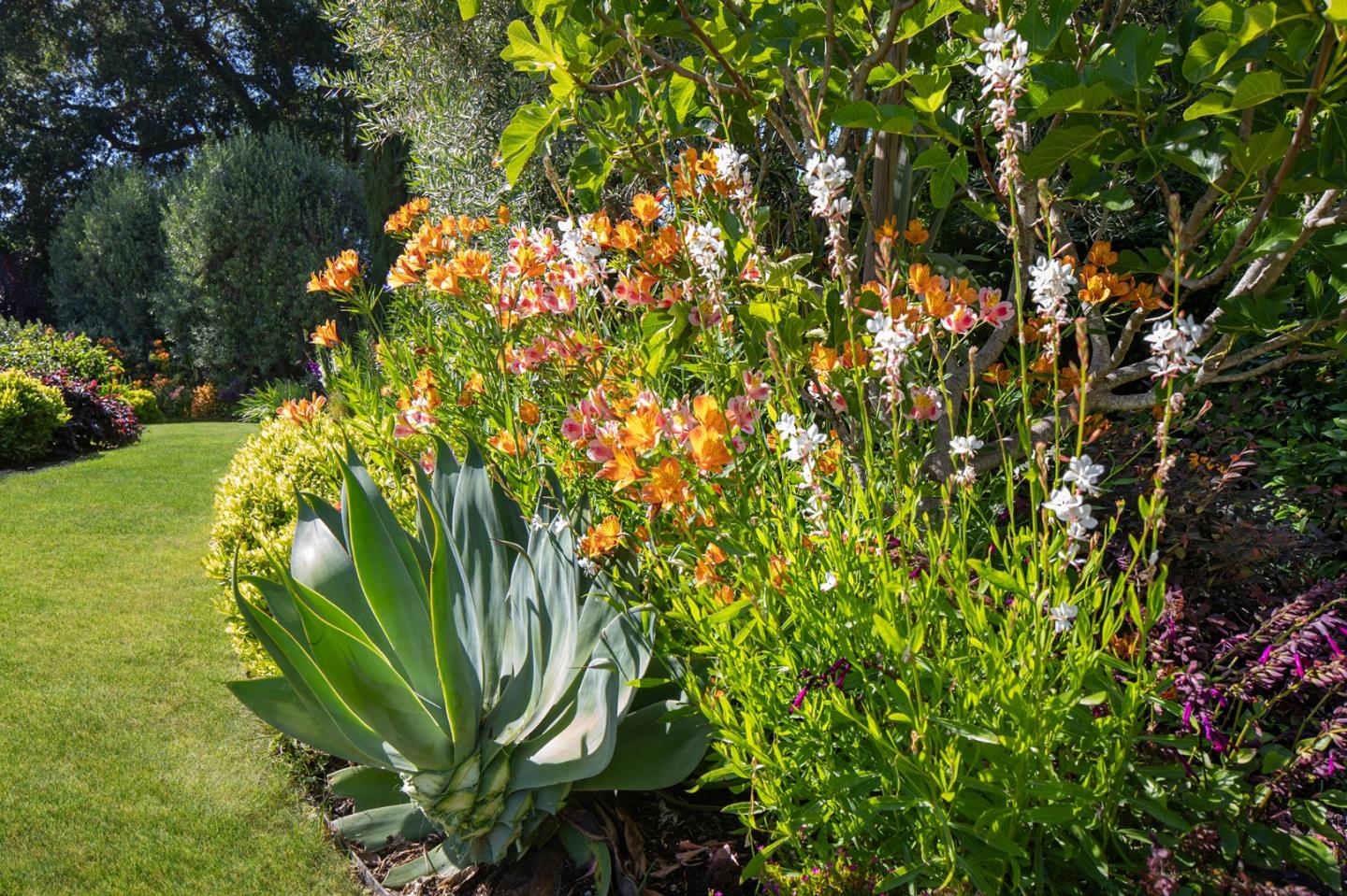 Detail Gallery Image 55 of 64 For 2 Somerset Ln, Atherton,  CA 94027 - 6 Beds | 7/2 Baths