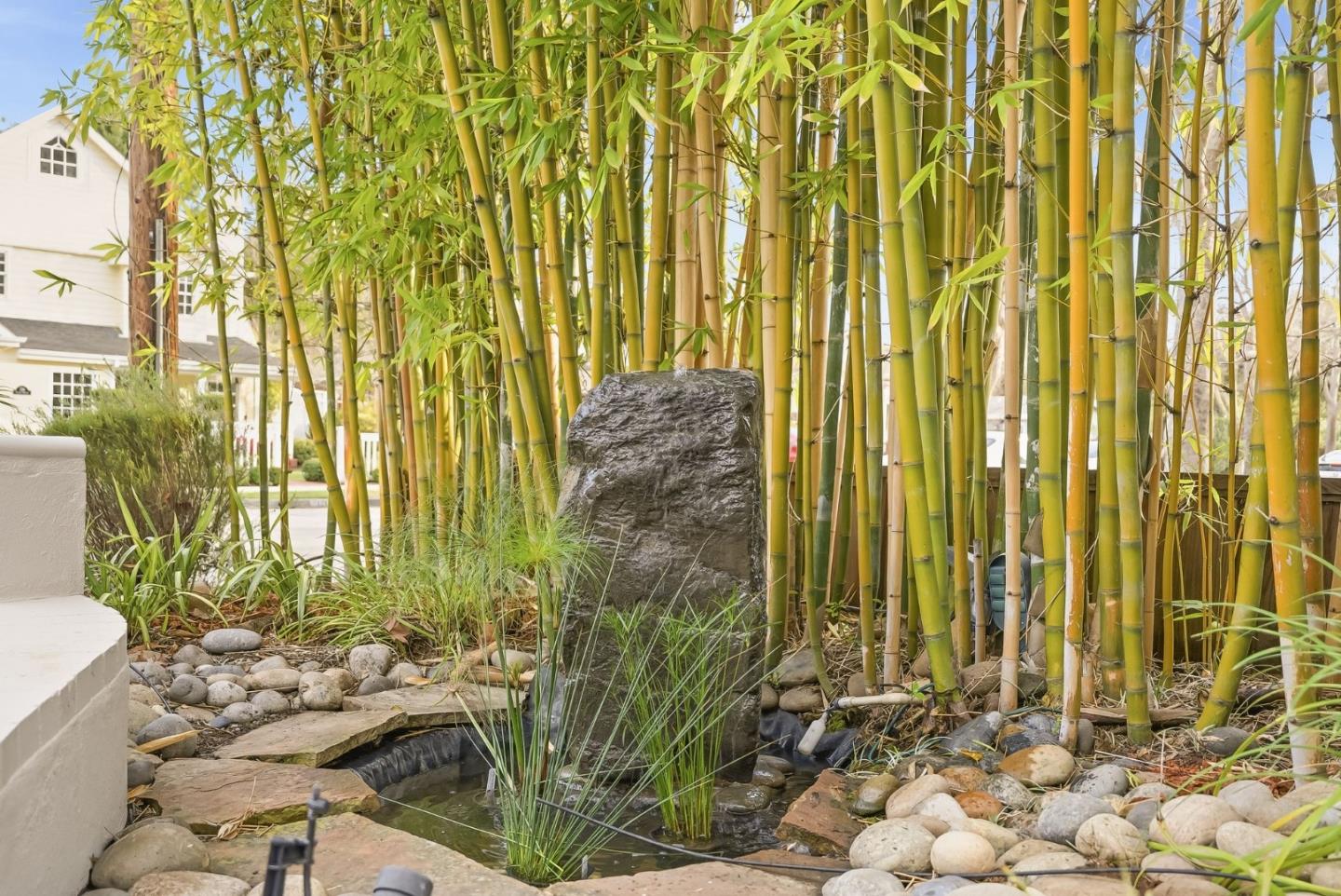 Detail Gallery Image 52 of 63 For 129 Lowell Ave, Palo Alto,  CA 94301 - 4 Beds | 2/1 Baths