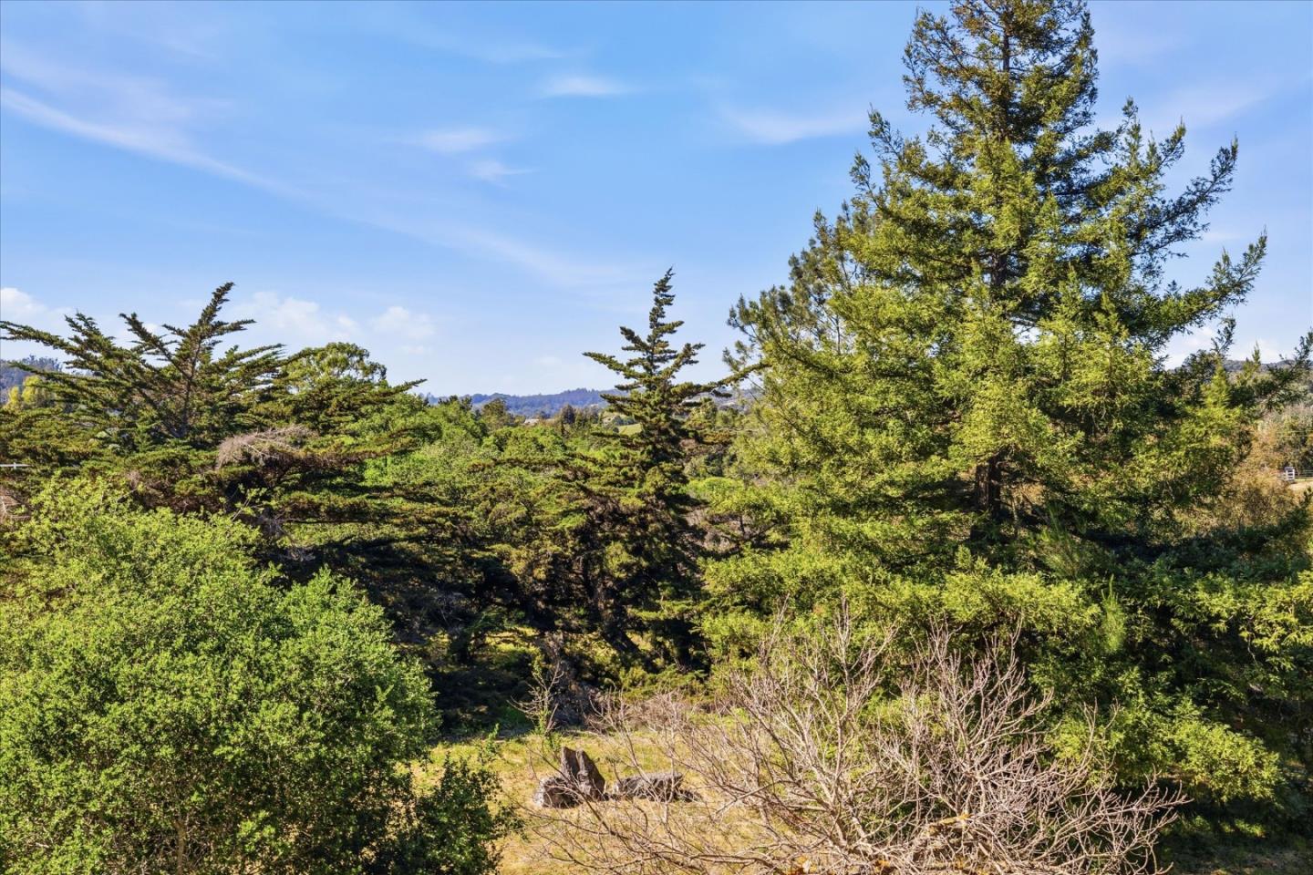 Detail Gallery Image 22 of 80 For 19350 El Cerro, Aromas,  CA 95004 - 4 Beds | 3 Baths