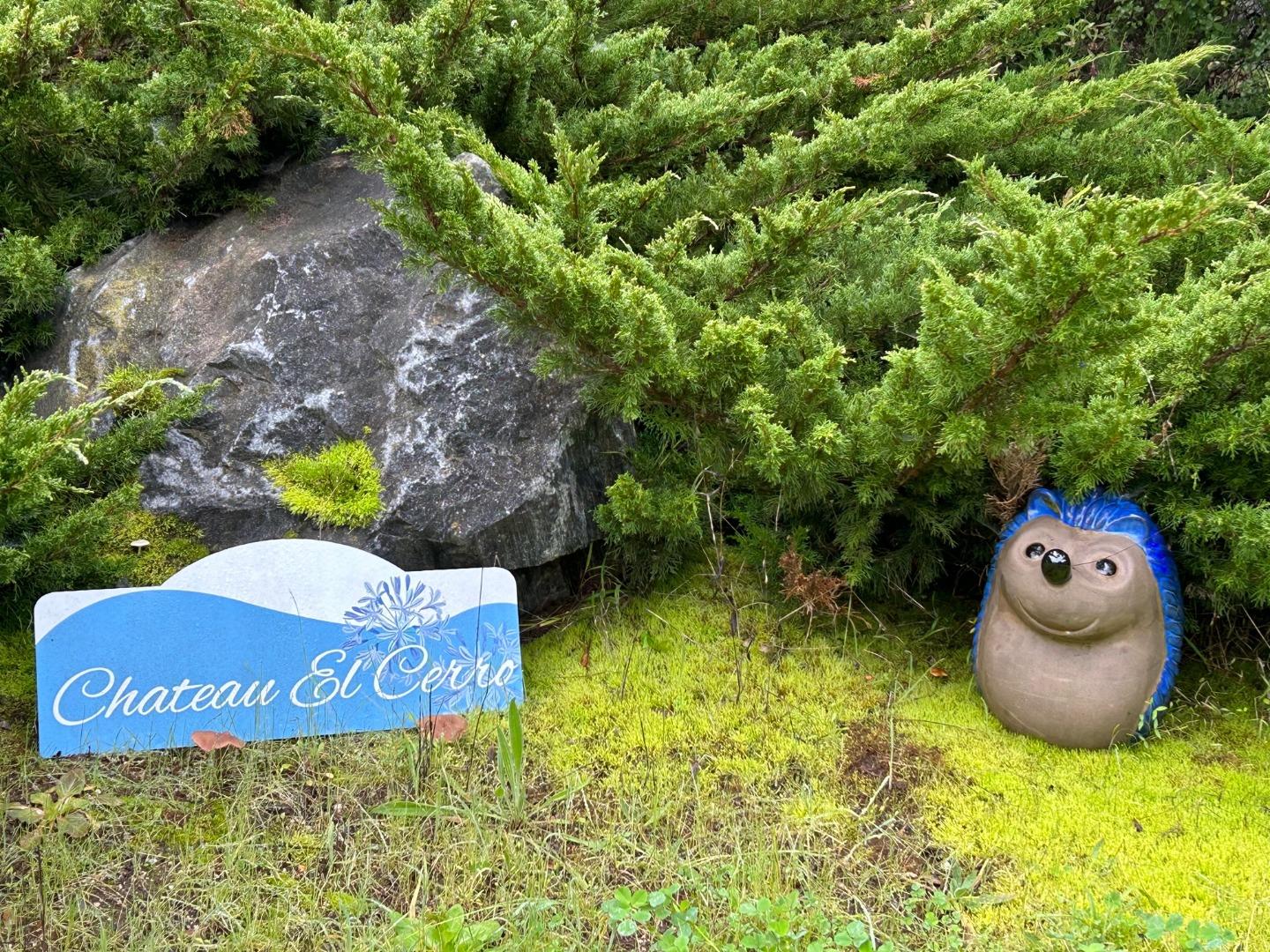 Detail Gallery Image 23 of 80 For 19350 El Cerro, Aromas,  CA 95004 - 4 Beds | 3 Baths