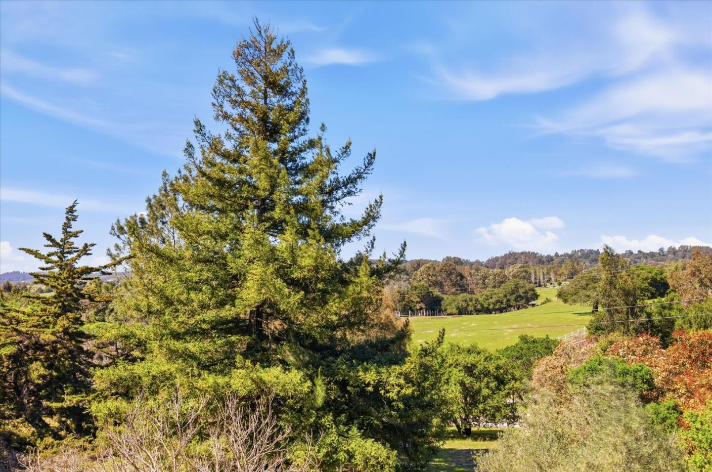 Detail Gallery Image 24 of 80 For 19350 El Cerro, Aromas,  CA 95004 - 4 Beds | 3 Baths