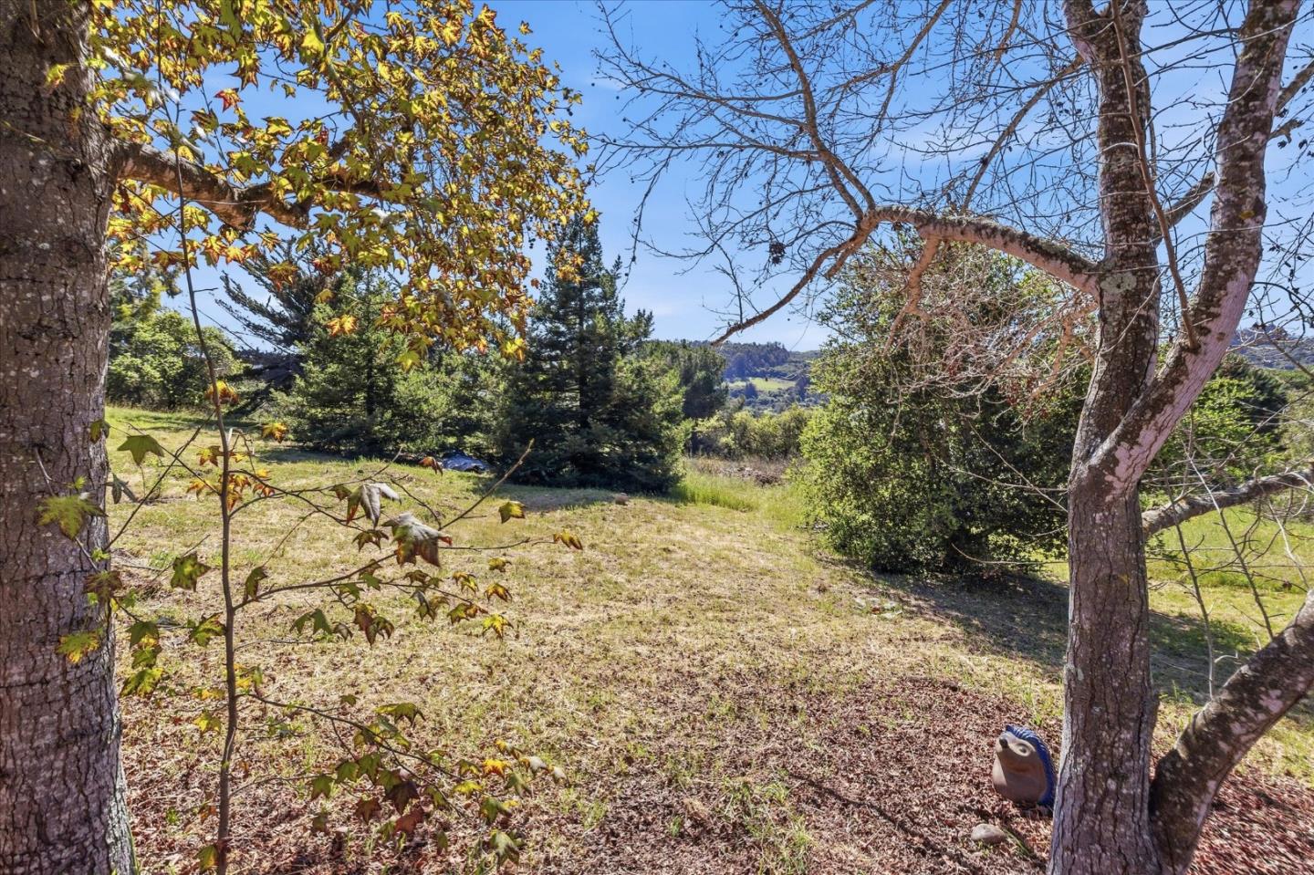 Detail Gallery Image 61 of 80 For 19350 El Cerro, Aromas,  CA 95004 - 4 Beds | 3 Baths