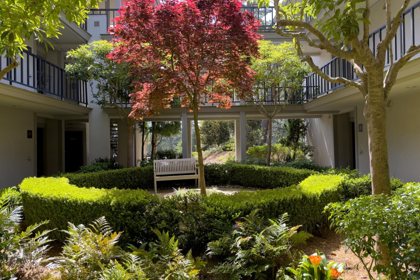 Detail Gallery Image 26 of 36 For 37 Ocean Pines Ln, Pebble Beach,  CA 93953 - 3 Beds | 3 Baths