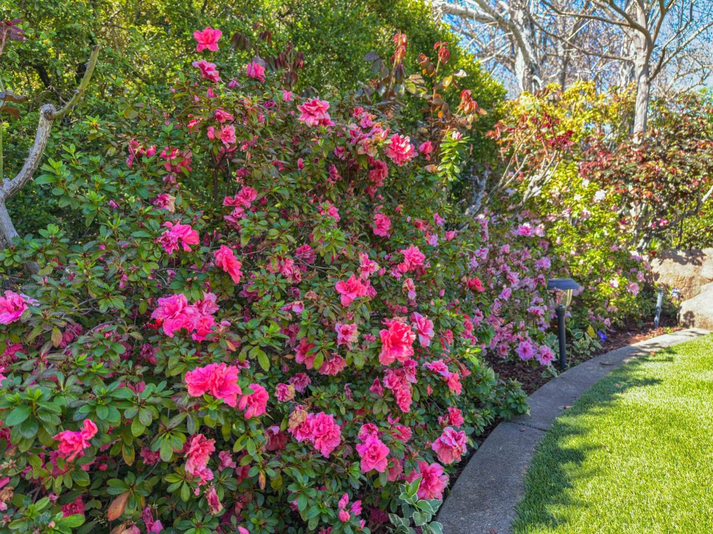 Detail Gallery Image 48 of 54 For 17981 Rose Ct, Monte Sereno,  CA 95030 - 3 Beds | 2 Baths