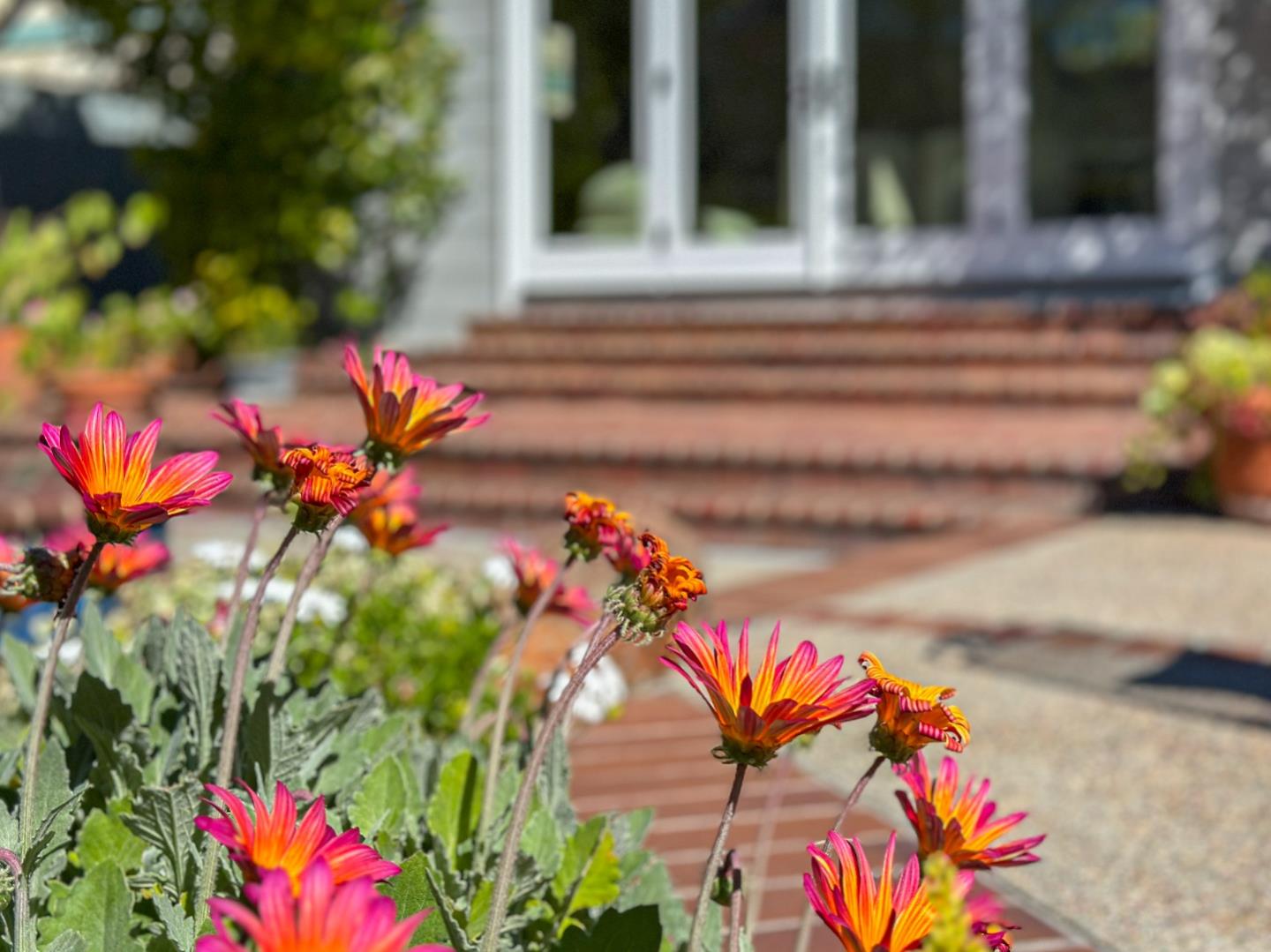 Detail Gallery Image 50 of 54 For 17981 Rose Ct, Monte Sereno,  CA 95030 - 3 Beds | 2 Baths