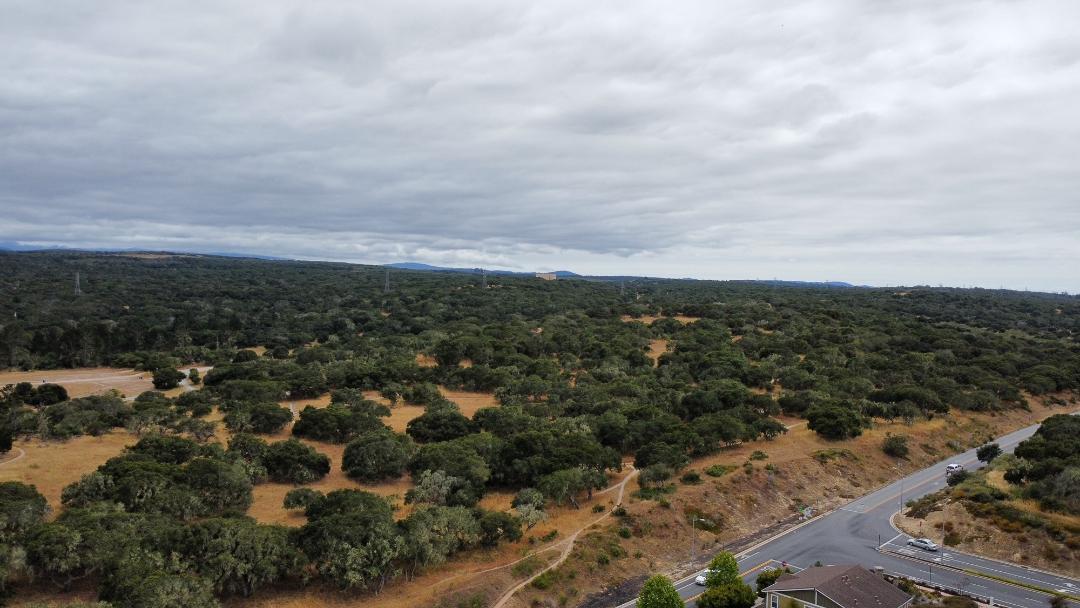 Detail Gallery Image 24 of 24 For 13305 Warren Ave, East Garrison,  CA 93933 - 3 Beds | 2/1 Baths