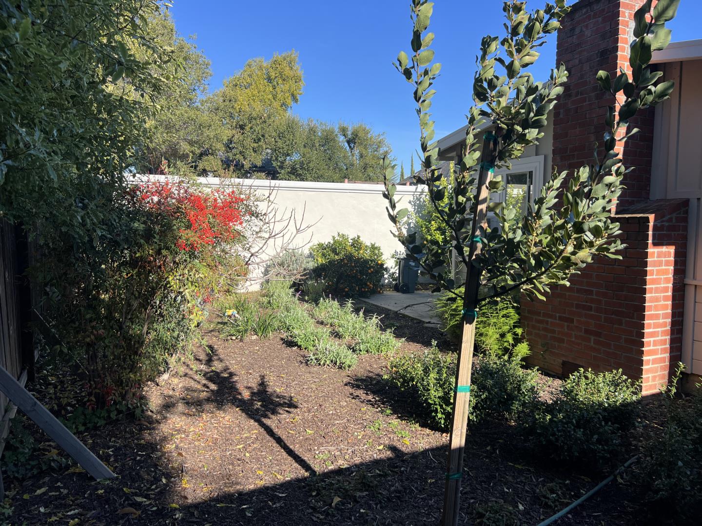 Detail Gallery Image 9 of 14 For 714 Live Oak Ave, Menlo Park,  CA 94025 - – Beds | – Baths