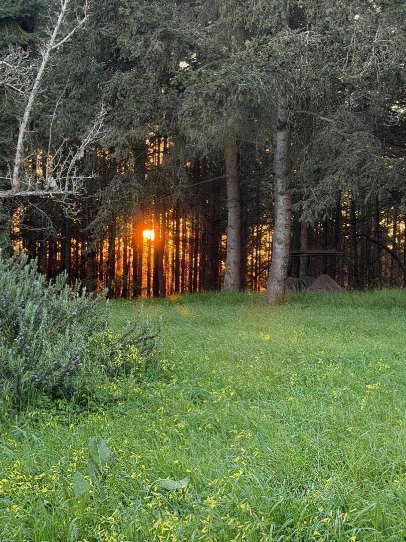 Detail Gallery Image 5 of 11 For 71 Hawk Haven Rd, Watsonville,  CA 95076 - 2 Beds | 1 Baths