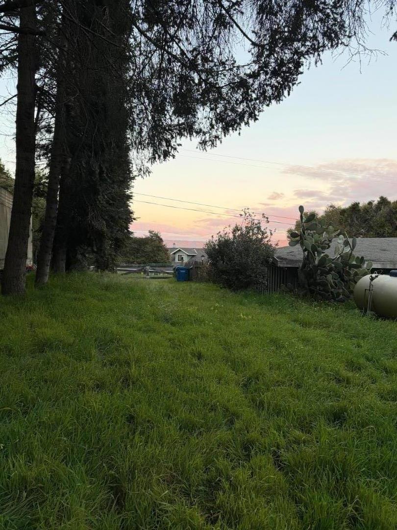 Detail Gallery Image 9 of 11 For 71 Hawk Haven Rd, Watsonville,  CA 95076 - 2 Beds | 1 Baths