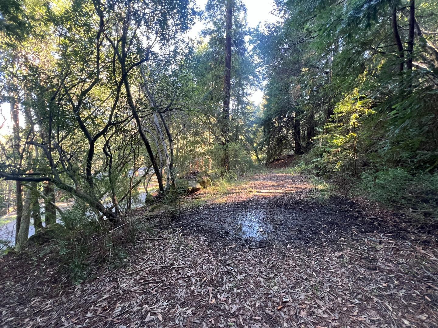 559 Patrol Road, Woodside, CA, 94062