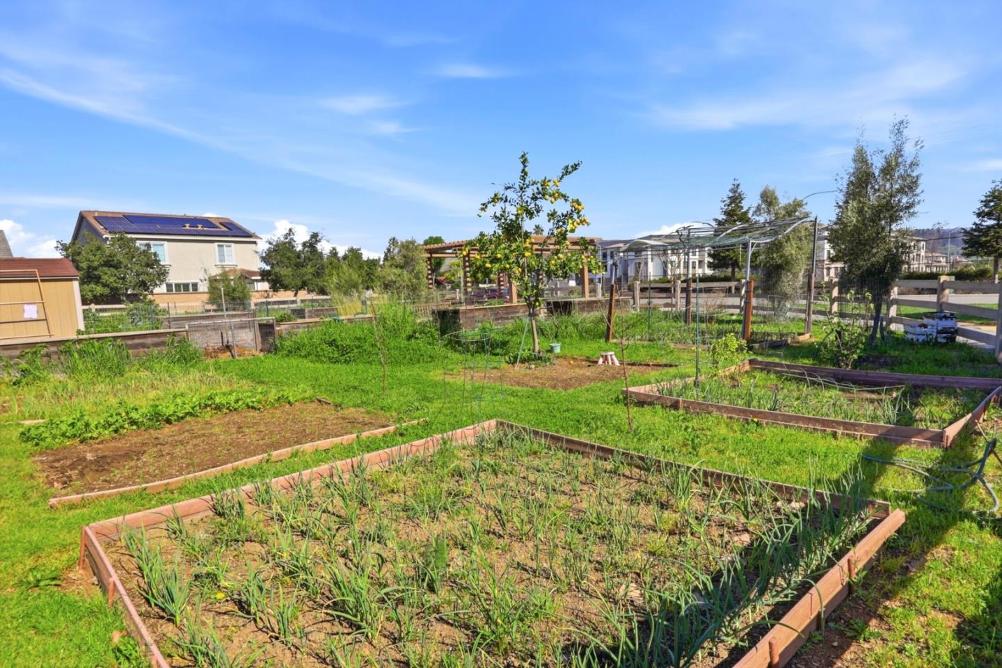 Detail Gallery Image 55 of 58 For 18971 Chicory Ln, Morgan Hill,  CA 95037 - 4 Beds | 2/1 Baths