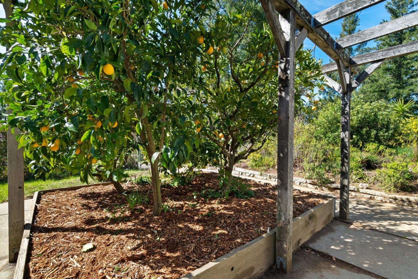 Detail Gallery Image 29 of 46 For 125 Mcgivern Way, Santa Cruz,  CA 95060 - 4 Beds | 3 Baths