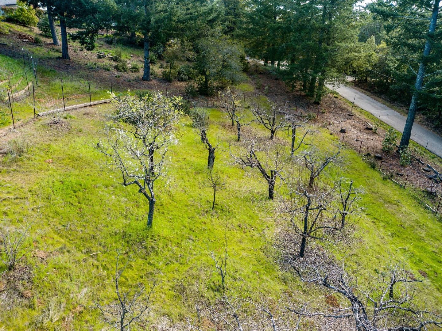 Detail Gallery Image 40 of 46 For 125 Mcgivern Way, Santa Cruz,  CA 95060 - 4 Beds | 3 Baths