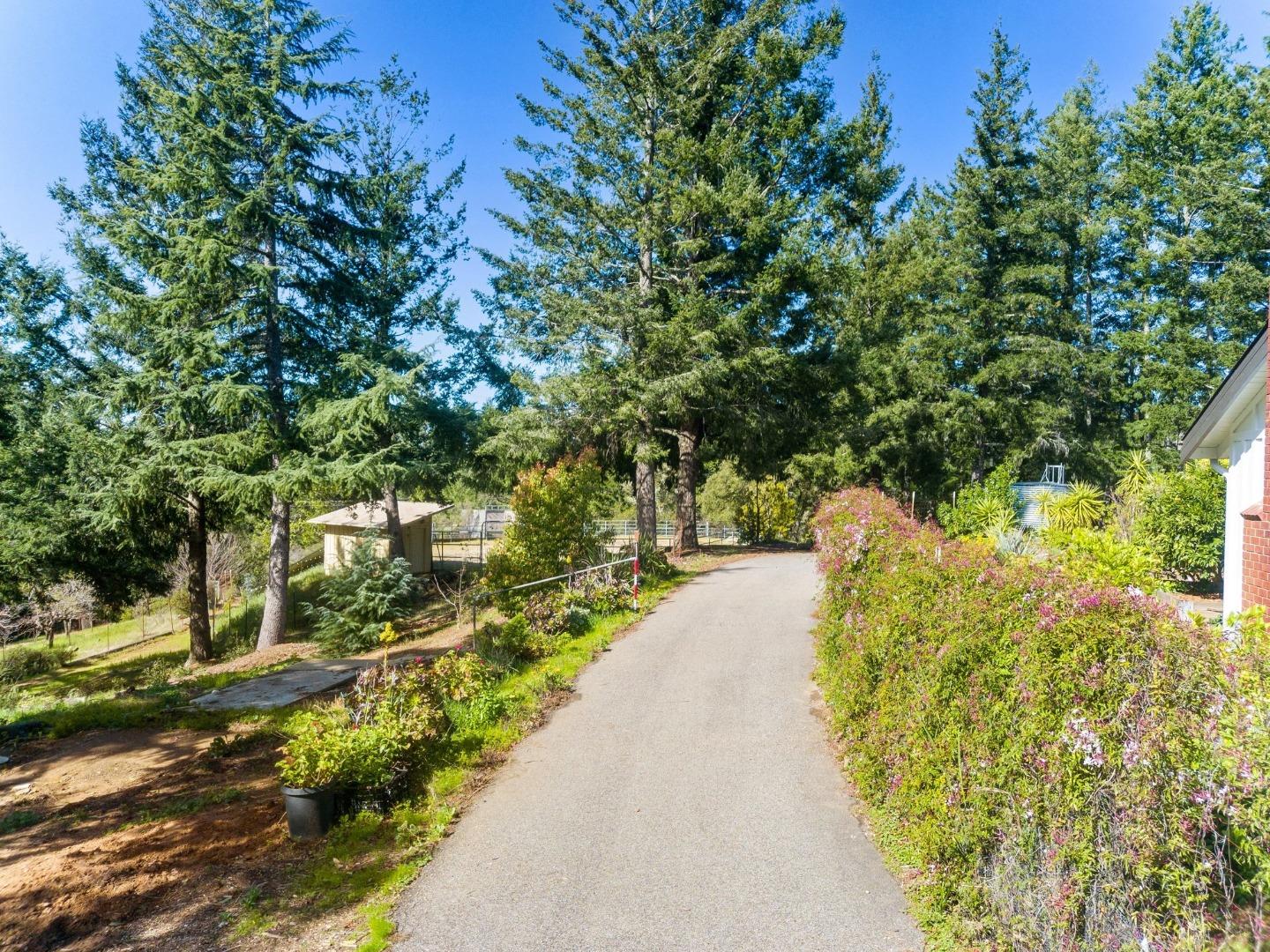 Detail Gallery Image 44 of 46 For 125 Mcgivern Way, Santa Cruz,  CA 95060 - 4 Beds | 3 Baths