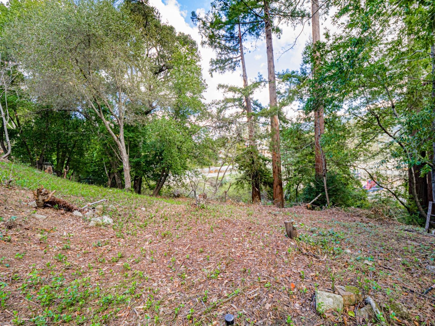 Detail Gallery Image 4 of 72 For 21496 Mary Alice Way, Los Gatos,  CA 95033 - 2 Beds | 2 Baths