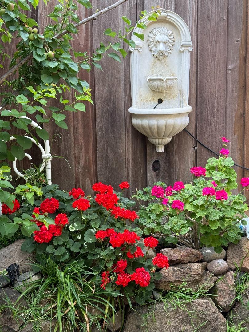 Detail Gallery Image 66 of 72 For 174 Villa Ave, Los Gatos,  CA 95030 - 3 Beds | 3/1 Baths