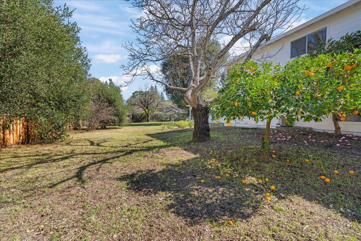 Detail Gallery Image 109 of 116 For 14721 Live Oak Ln, Saratoga,  CA 95070 - 7 Beds | 5/1 Baths