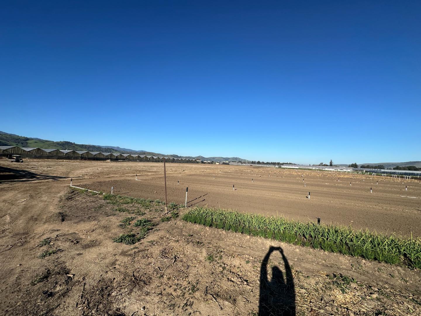 Detail Gallery Image 12 of 22 For 155 San Bruno Ave, Morgan Hill,  CA 95037 - – Beds | – Baths