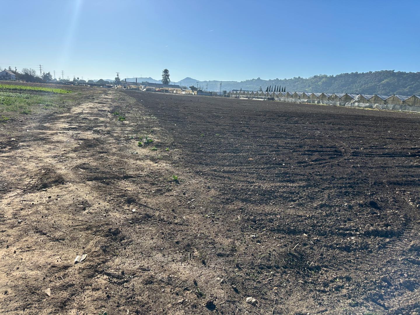 Detail Gallery Image 16 of 22 For 155 San Bruno Ave, Morgan Hill,  CA 95037 - – Beds | – Baths