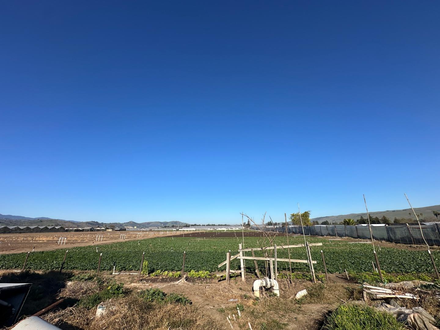 Detail Gallery Image 9 of 22 For 155 San Bruno Ave, Morgan Hill,  CA 95037 - – Beds | – Baths