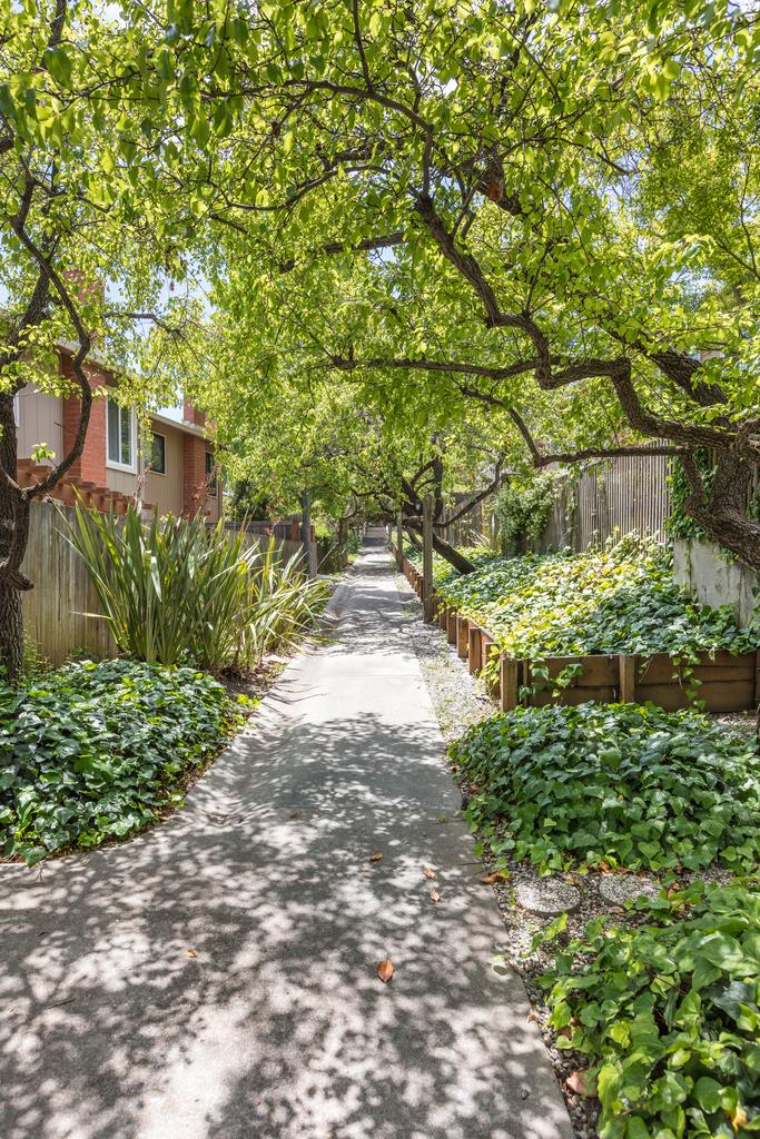 Photo #66: ML82036988 Listing: Photo #66