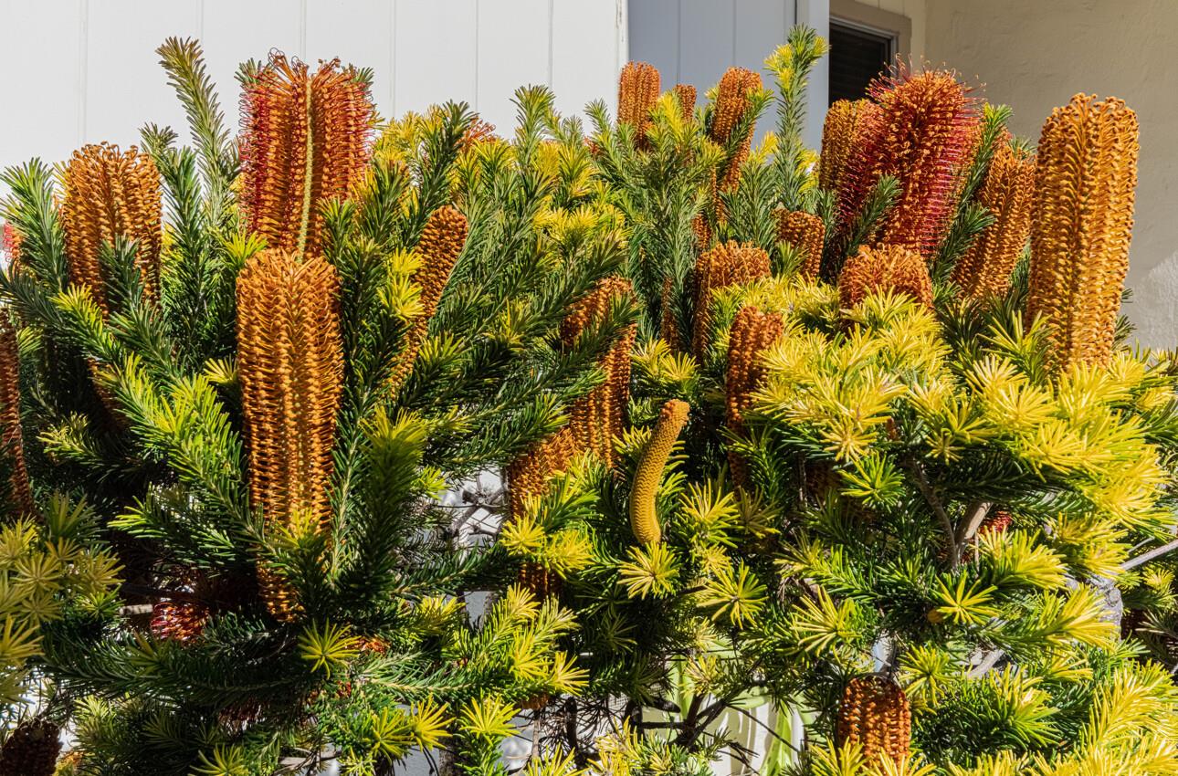 Detail Gallery Image 4 of 42 For 840 Hastings Ave, Salinas,  CA 93901 - 4 Beds | 2 Baths