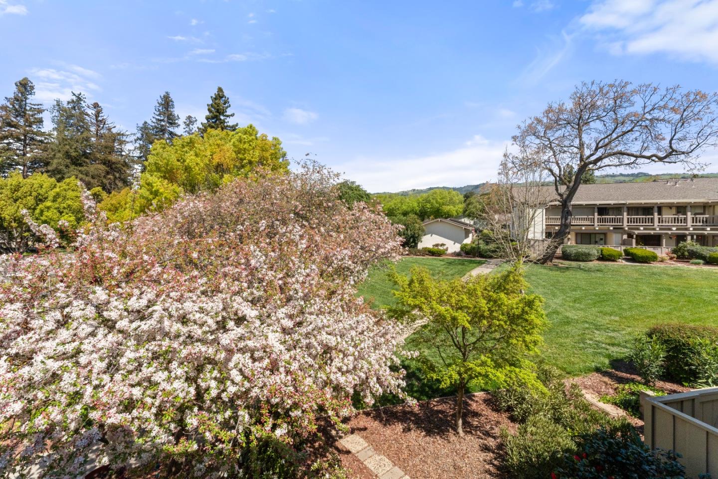 Photo #31: ML82037004 Listing: Photo #31