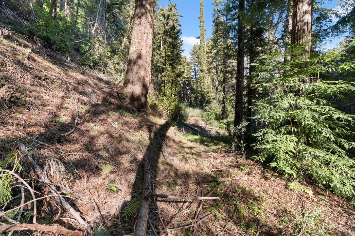 Detail Gallery Image 10 of 23 For 160 Starview Pl, Boulder Creek,  CA 95006 - – Beds | – Baths