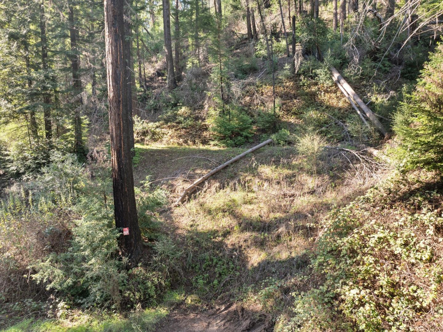 Detail Gallery Image 12 of 23 For 160 Starview Pl, Boulder Creek,  CA 95006 - – Beds | – Baths