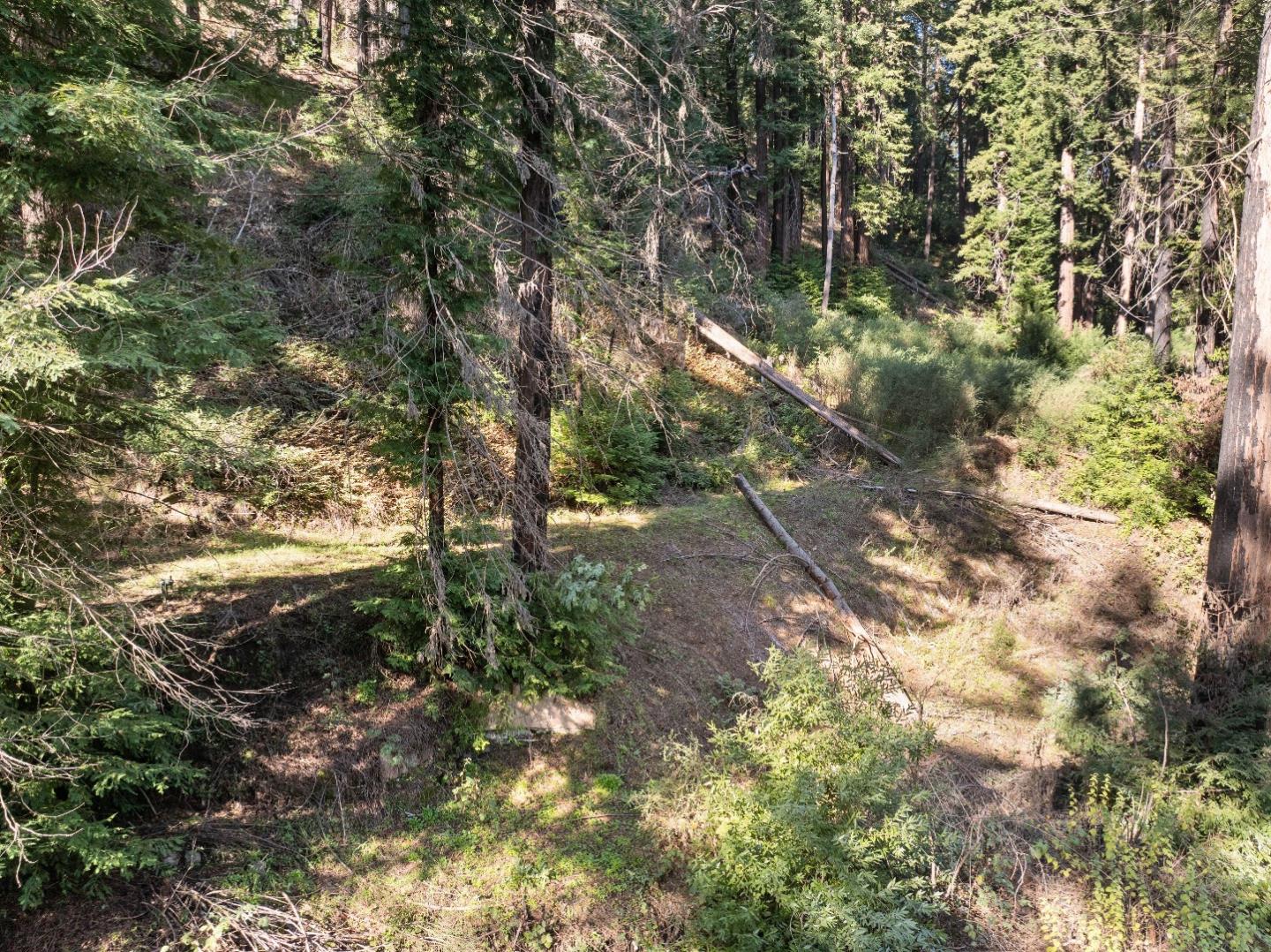 Detail Gallery Image 13 of 23 For 160 Starview Pl, Boulder Creek,  CA 95006 - – Beds | – Baths