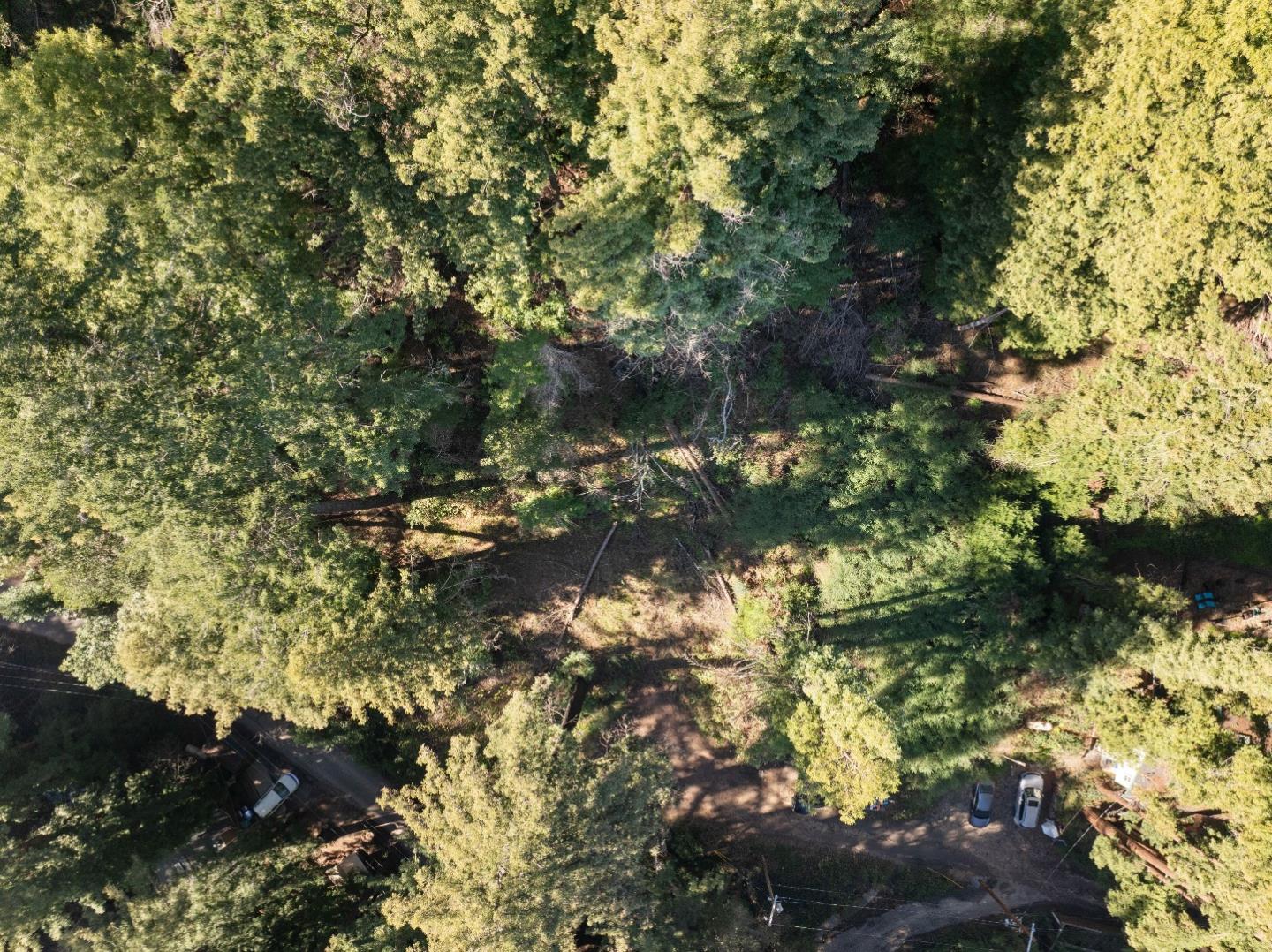 Detail Gallery Image 15 of 23 For 160 Starview Pl, Boulder Creek,  CA 95006 - – Beds | – Baths