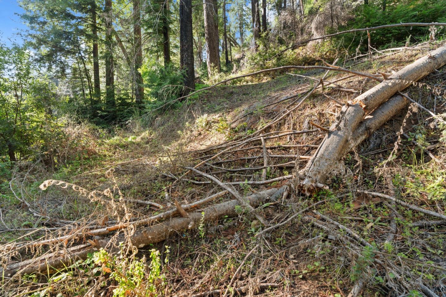 Detail Gallery Image 17 of 23 For 160 Starview Pl, Boulder Creek,  CA 95006 - – Beds | – Baths