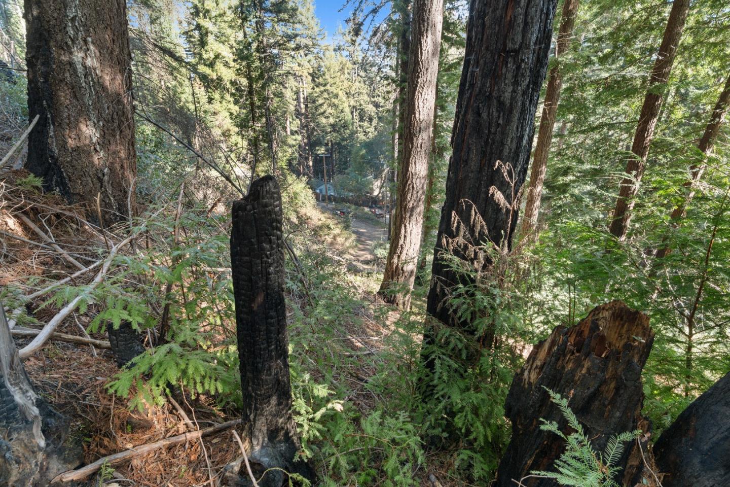 Detail Gallery Image 19 of 23 For 160 Starview Pl, Boulder Creek,  CA 95006 - – Beds | – Baths