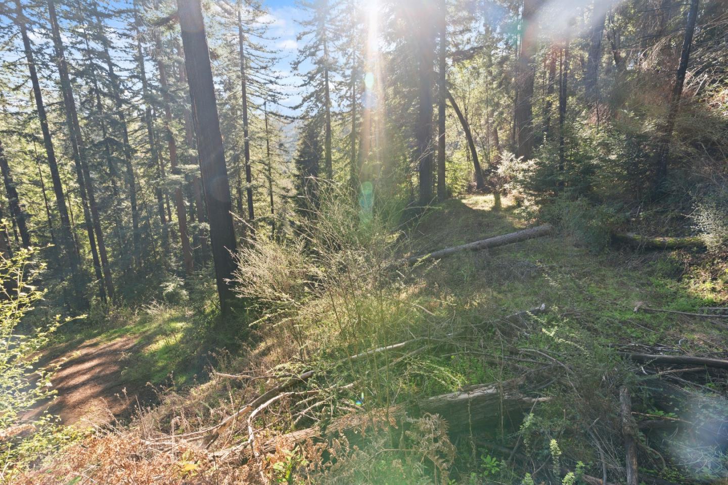 Detail Gallery Image 20 of 23 For 160 Starview Pl, Boulder Creek,  CA 95006 - – Beds | – Baths