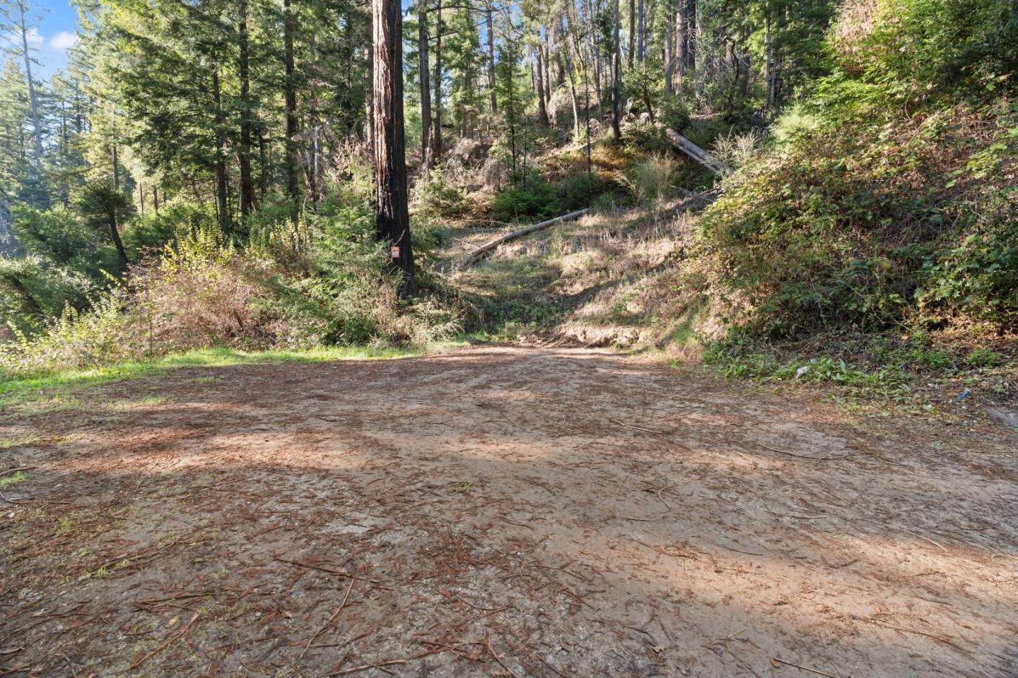 Detail Gallery Image 3 of 23 For 160 Starview Pl, Boulder Creek,  CA 95006 - – Beds | – Baths