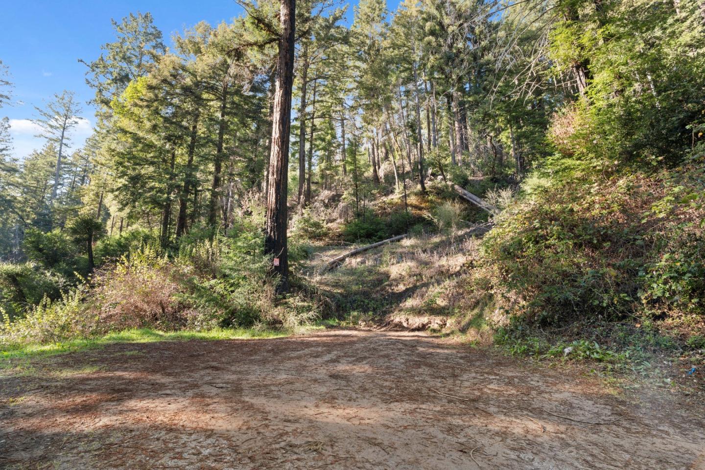 Detail Gallery Image 4 of 23 For 160 Starview Pl, Boulder Creek,  CA 95006 - – Beds | – Baths