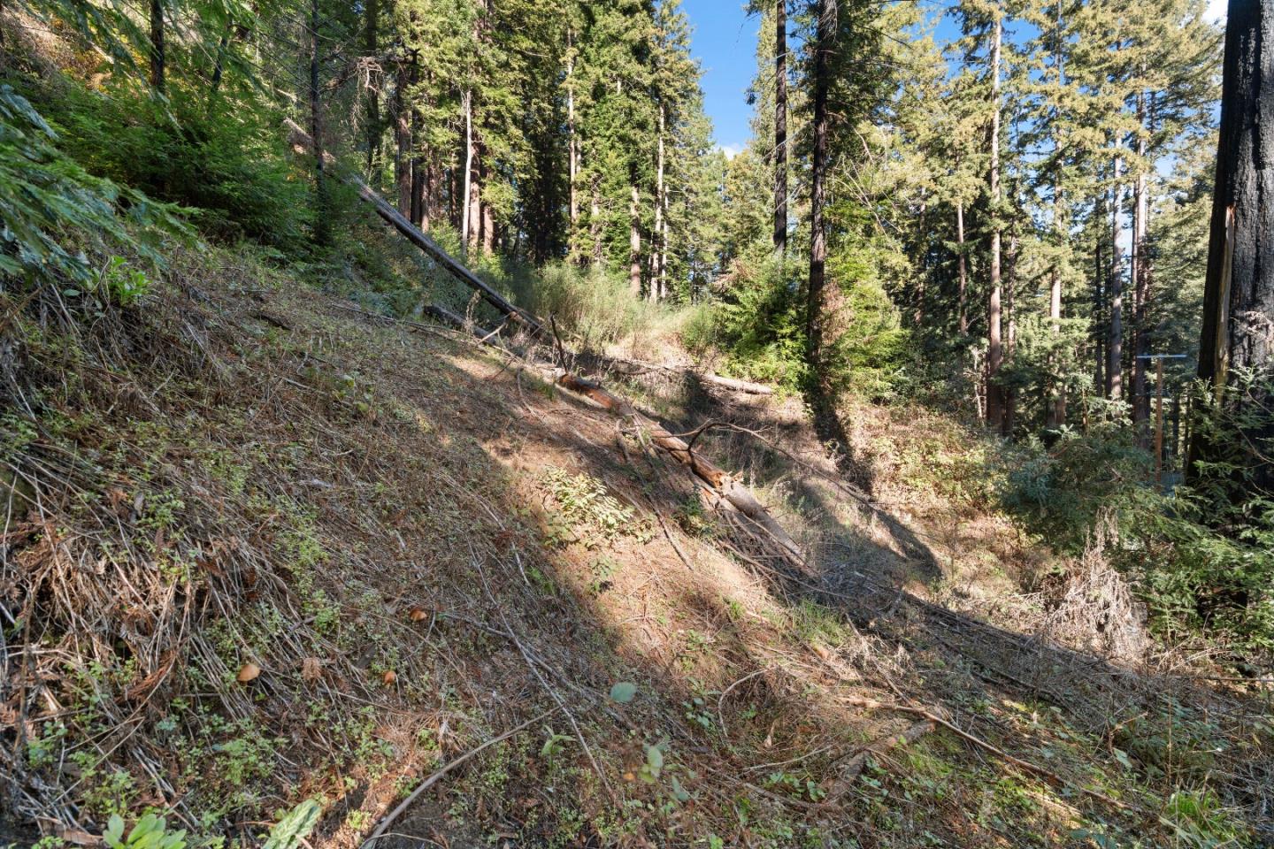 Detail Gallery Image 7 of 23 For 160 Starview Pl, Boulder Creek,  CA 95006 - – Beds | – Baths