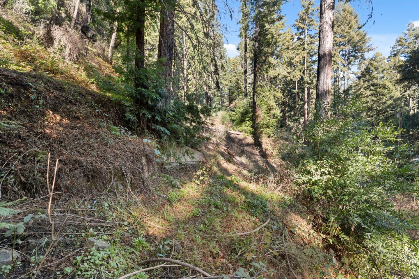 Detail Gallery Image 8 of 23 For 160 Starview Pl, Boulder Creek,  CA 95006 - – Beds | – Baths