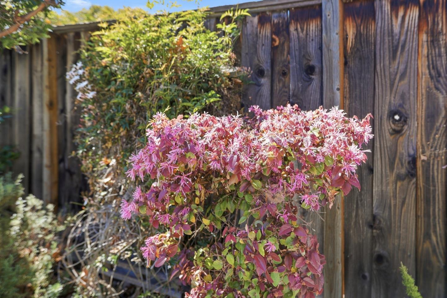 Detail Gallery Image 55 of 59 For 2242 Cabrillo Ave, Santa Clara,  CA 95050 - 3 Beds | 2 Baths