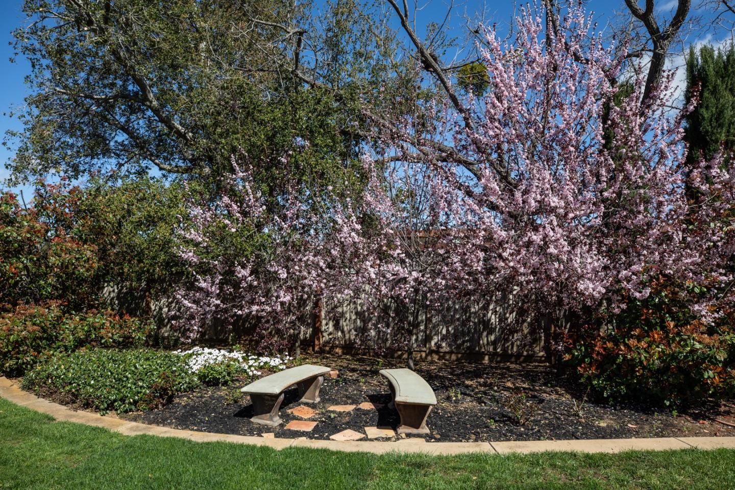 Detail Gallery Image 44 of 54 For 253 Fremont Ave, Los Altos,  CA 94024 - 5 Beds | 6/2 Baths