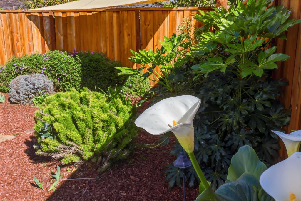 Detail Gallery Image 80 of 81 For 813 Cascade Dr, Sunnyvale,  CA 94087 - 4 Beds | 3 Baths