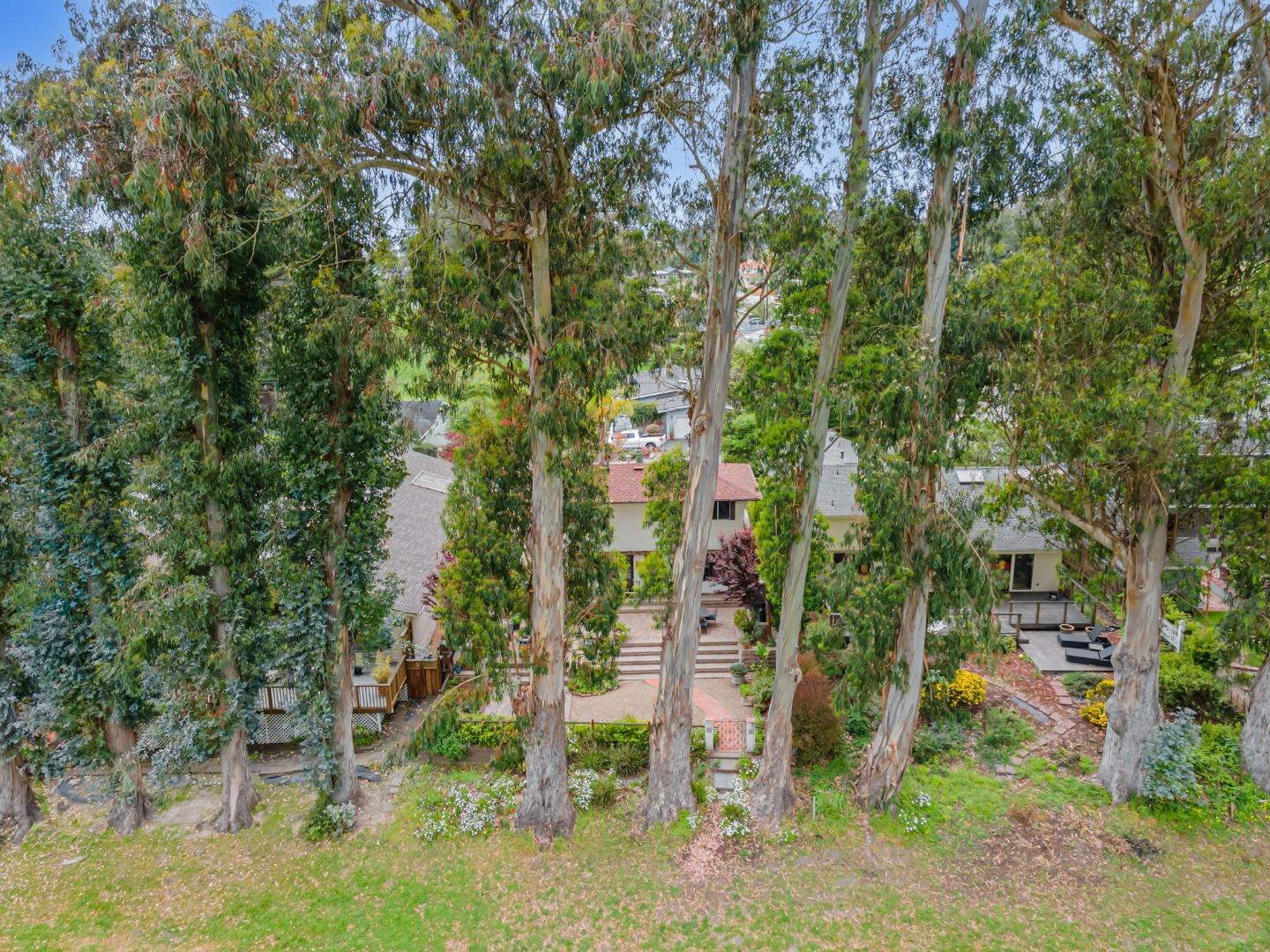 Detail Gallery Image 50 of 81 For 424 Palmer Ave, Aptos,  CA 95003 - 4 Beds | 2/1 Baths