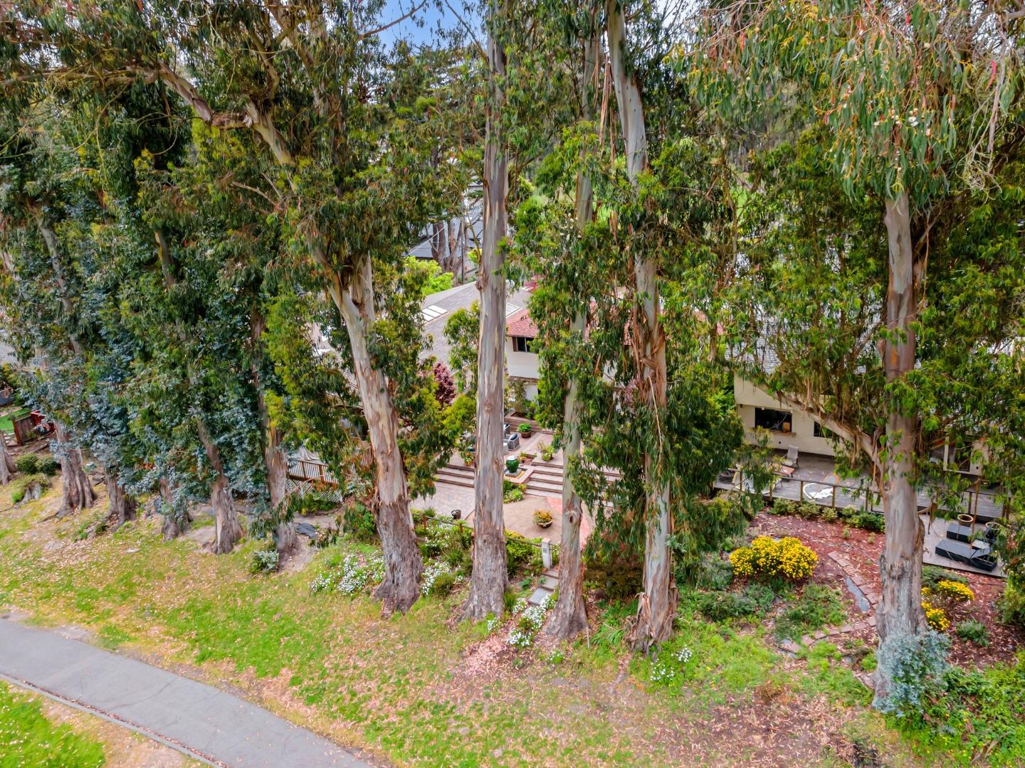 Detail Gallery Image 51 of 81 For 424 Palmer Ave, Aptos,  CA 95003 - 4 Beds | 2/1 Baths