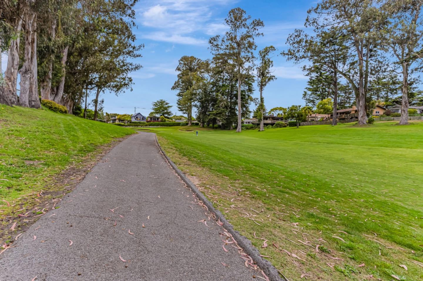 Detail Gallery Image 74 of 81 For 424 Palmer Ave, Aptos,  CA 95003 - 4 Beds | 2/1 Baths